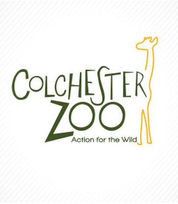 colchester zoo